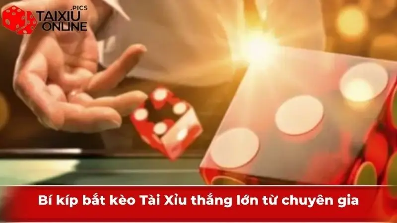 Bí kíp bắt kèo Tài Xỉu thắng lớn từ chuyên gia