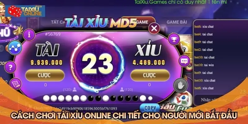 Cách chơi tài xỉu online chi tiết cho người mới bắt đầu